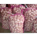 /msite/products/detail/productid/56287092/id/572588.html